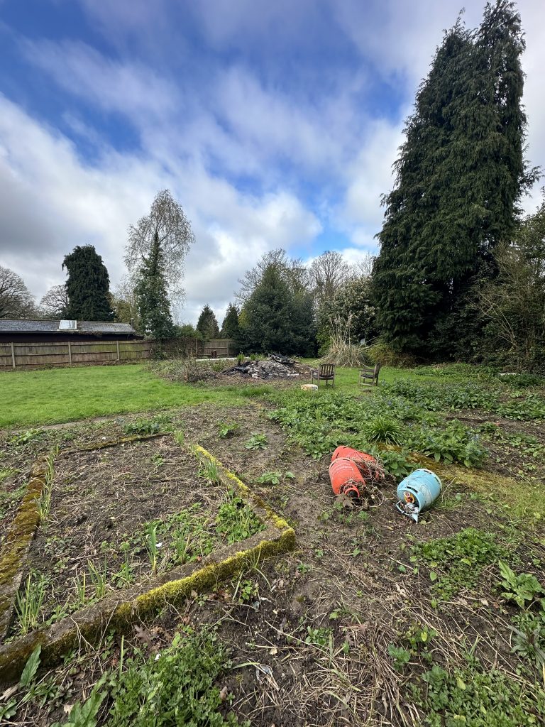 IMG0351 Acre Excavation