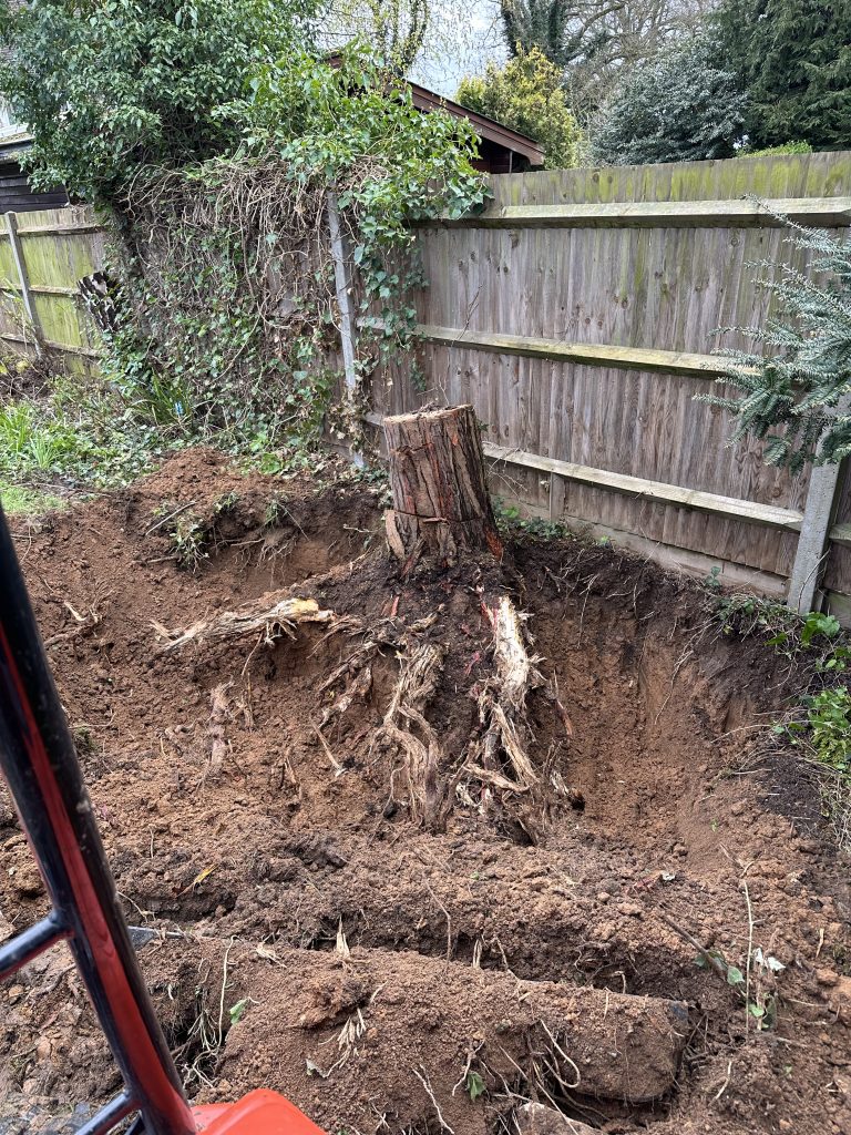 IMG0374 Acre Excavation