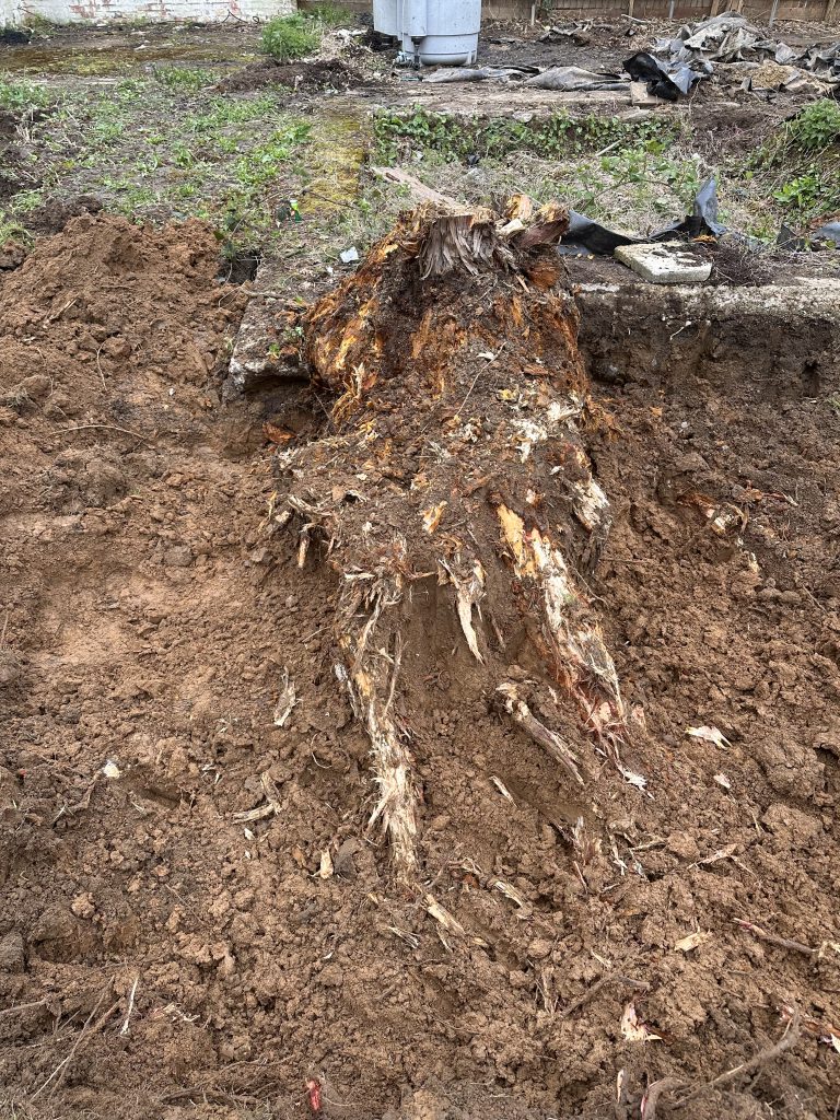 IMG0378 Acre Excavation